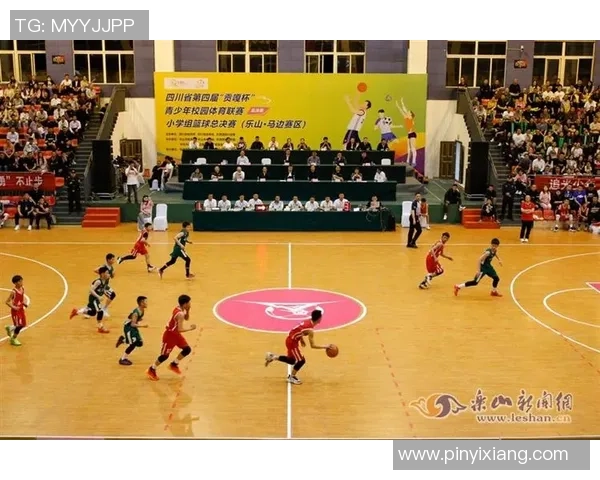 张芳独家分享篮球心得与技巧揭秘助你提升球技的秘密之道